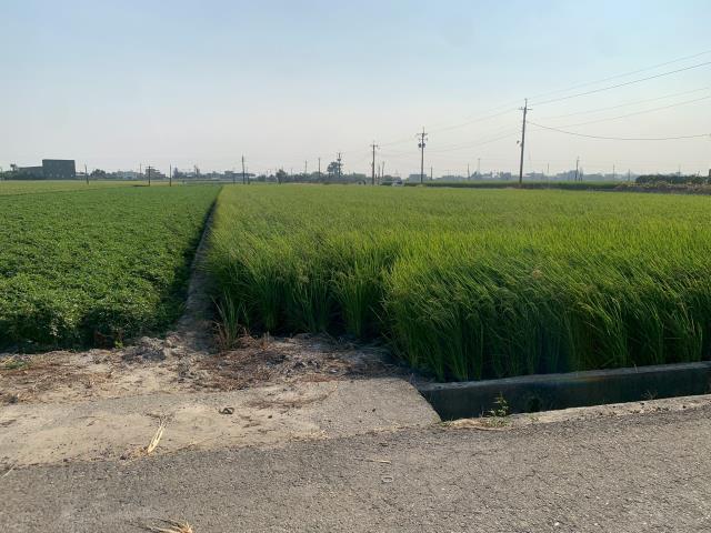 嘉義農地-3