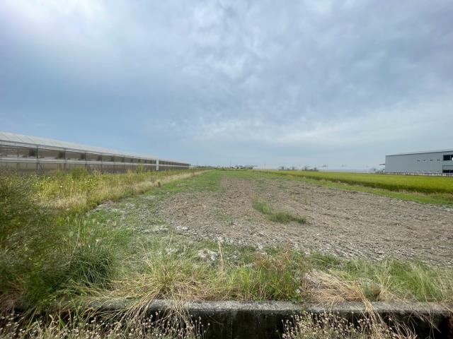 嘉義太保農地-1