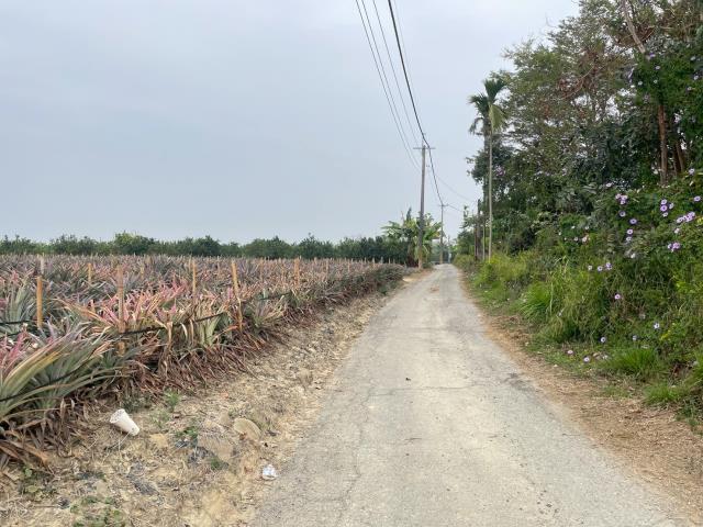 嘉義大林農地-0